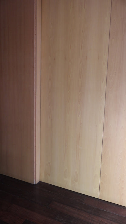 TOP ARECA